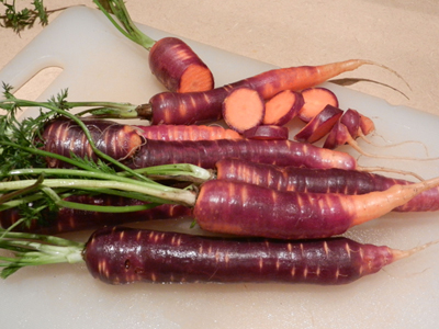 Purple-haze-carrots