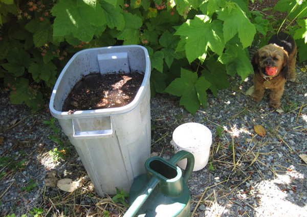 compost tea operation