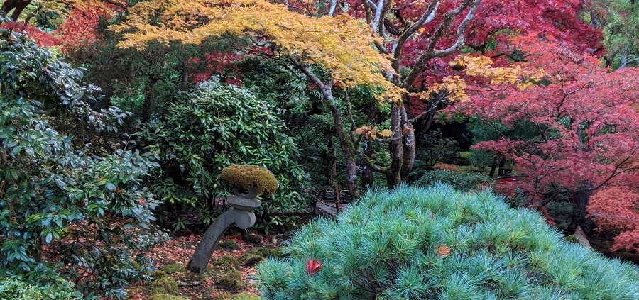 Fall Butchart Gardens