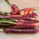 purple haze carrots