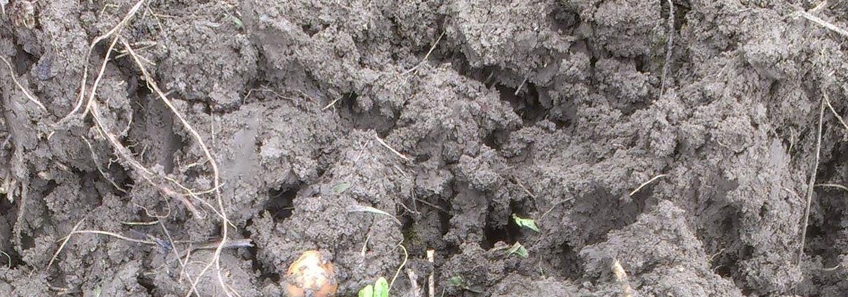 Clay soil