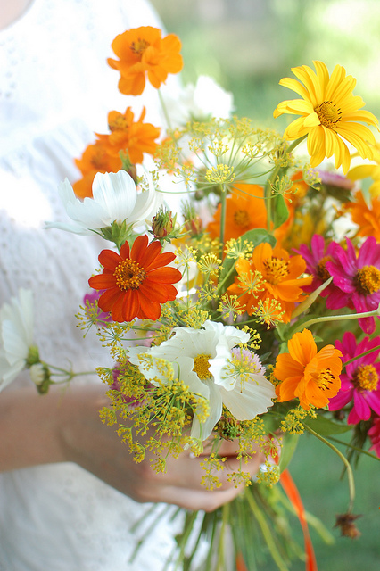 13 Best Flowers for Cut Arrangements