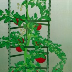 Tomato Ladder - web