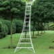 Hasegawa ladder