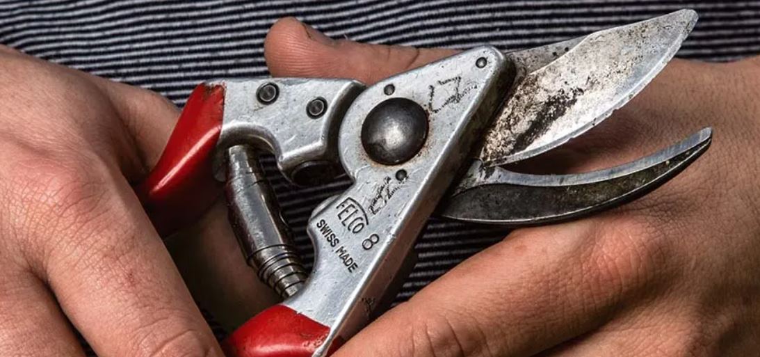 Felco Sharpening & Cleaning Workshop